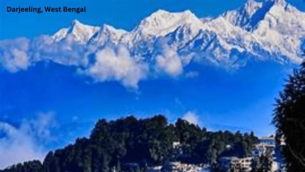"Scenic view of lush tea plantations in Darjeeling, a budget-friendly honeymoon PLACES in India."