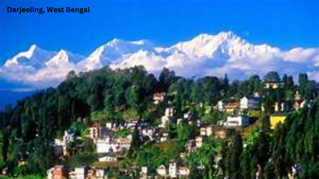 "Scenic view of lush tea plantations in Darjeeling, a budget-friendly honeymoon PLACES in India."
