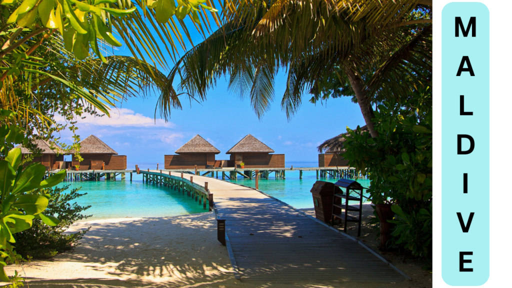 Top 10 Best Affordable Honeymoon Places in India