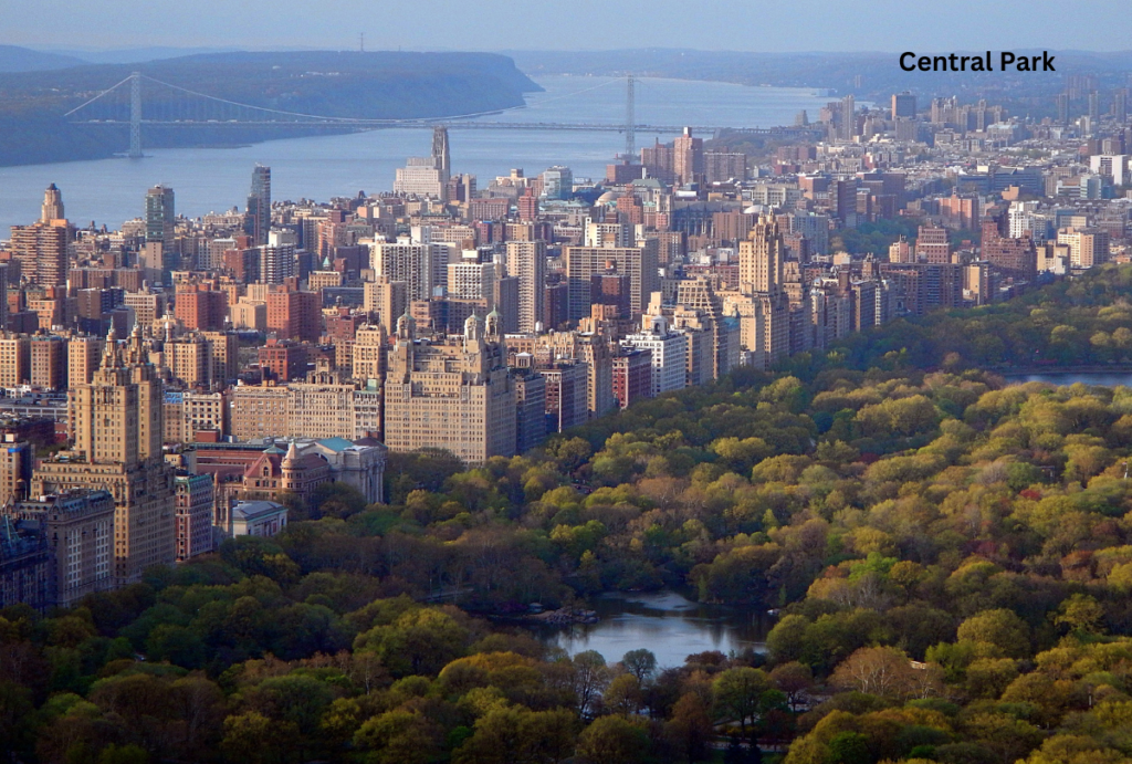 "Lush greenery and winding paths of Central Park, a must-see among places to visit in New York City, perfect for a peaceful stroll."

