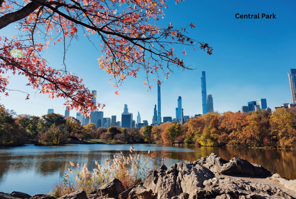 "Lush greenery and winding paths of Central Park, a must-see among places to visit in New York City, perfect for a peaceful stroll."

