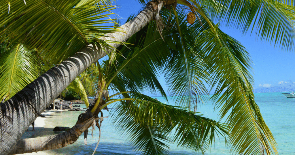 Cheap and Best Places for Honeymoon – Affordable Romantic Getaways 2025
