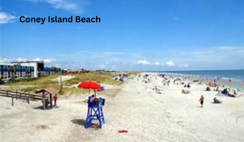 Coney Island Beach: Best Beaches in NYC