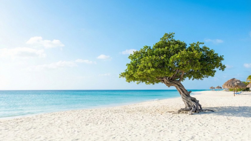 safest Caribbean islands in 2026