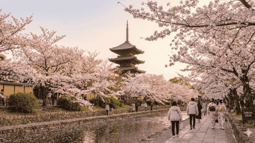 Best Time to Visit Japan for Cherry Blossoms 2026